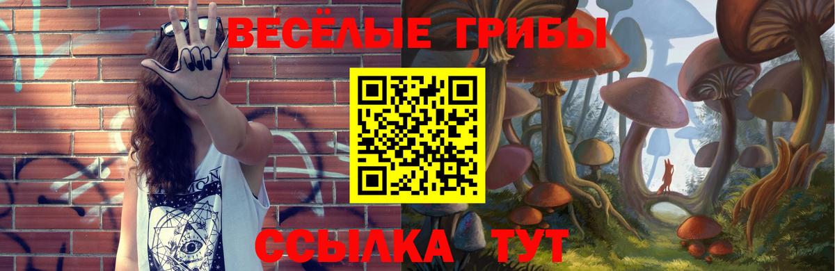 Псилоцибиновые грибы Psilocybe  Вход с VPN  Астрахань 